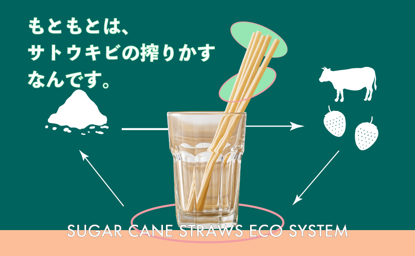 生分解可能なサトウキビストロー