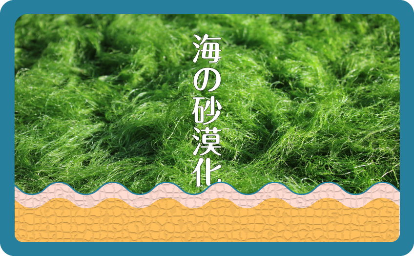 「海藻の養殖も、畑に種を植えて野菜を育てることと同じ」